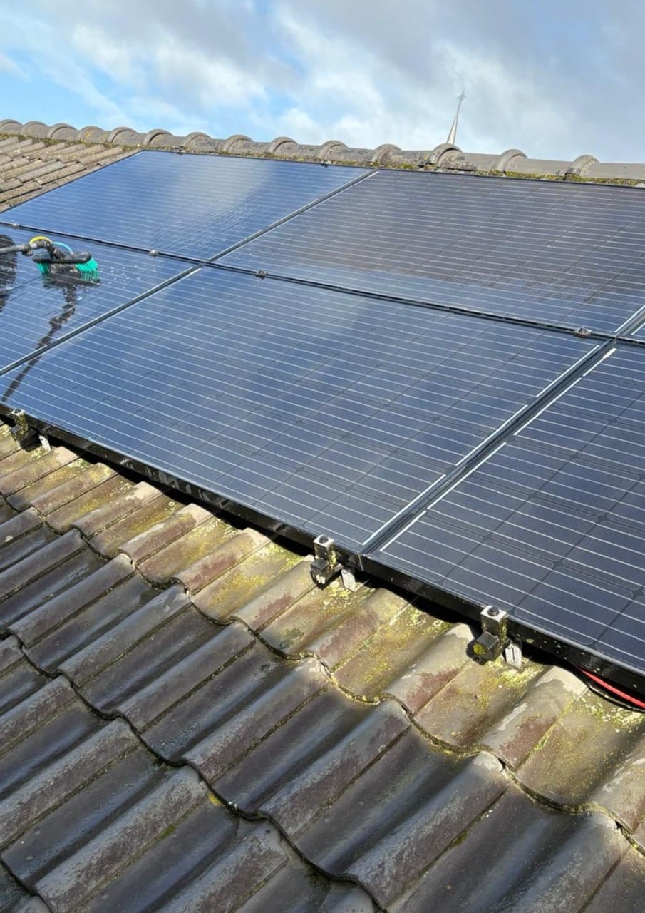 Verwijderen van vogelpoep en mos van zonnepanelen